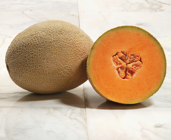 'Journey' Melon - Cucumis melo from Bloomfield Garden Center