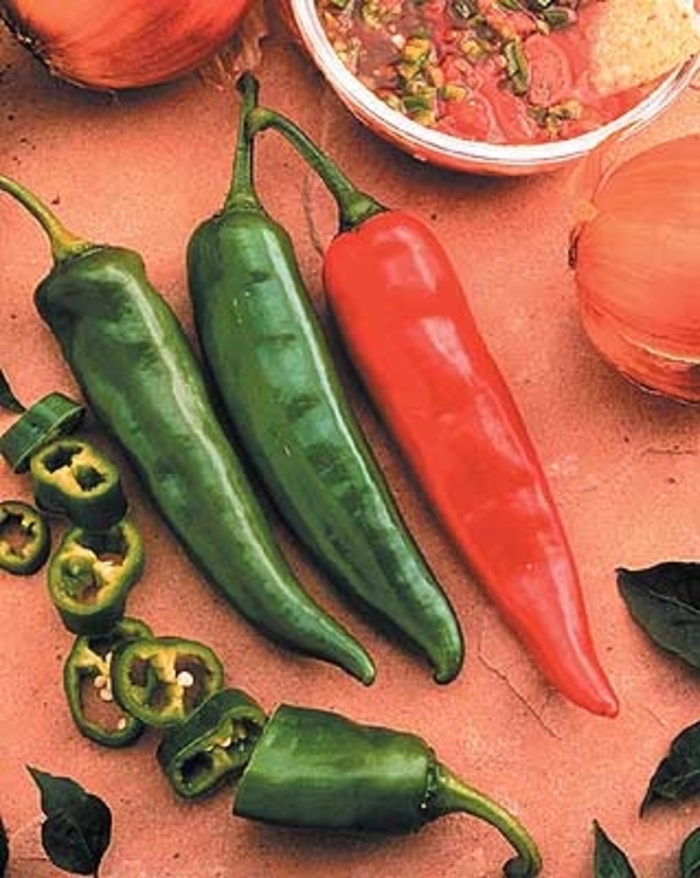 Pepper - HOT | Garden Salsa | Bloomfield Garden Center