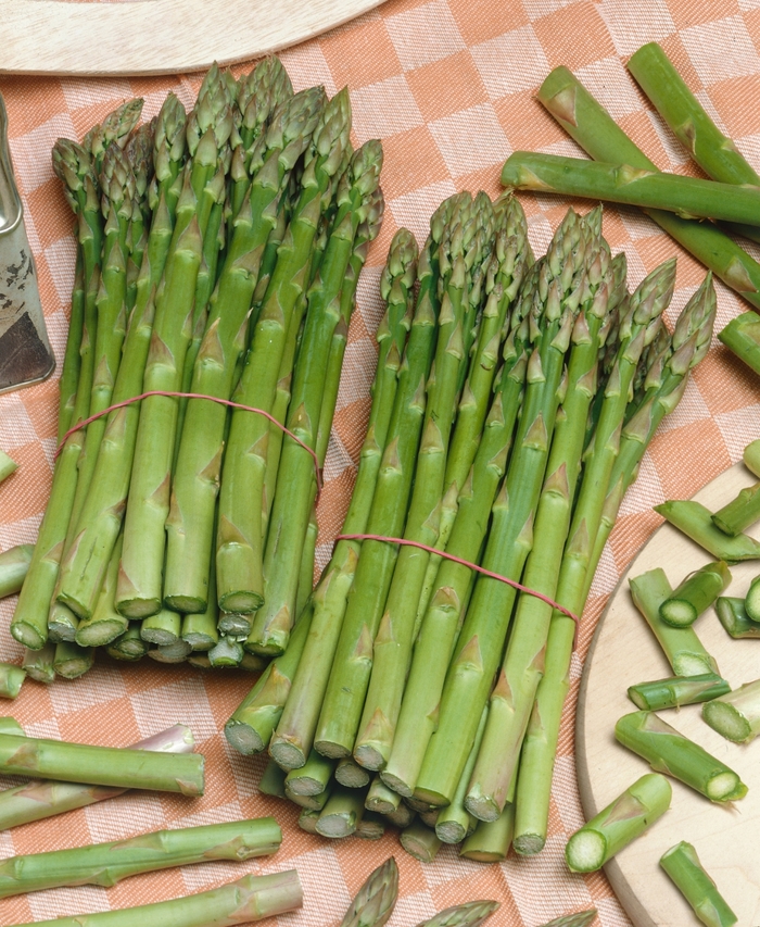 Asparagus Victoria Bloomfield Garden Center