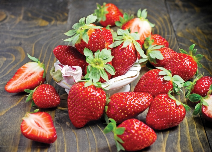 Fort Laramie - Strawberry - Everbearing from Bloomfield Garden Center Fort Laramie - Strawberry - Everbearing from Bloomfield Garden Center