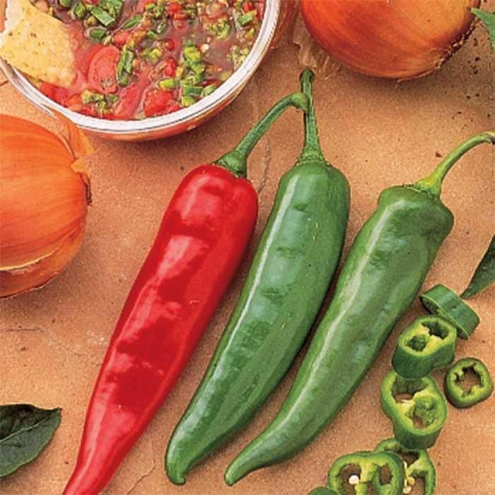 Garden Salsa - Pepper - HOT from Bloomfield Garden Center