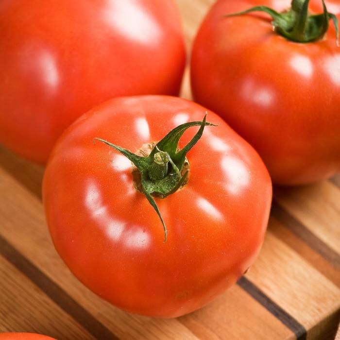 'Celebrity' Tomato - Lycopersicon esculentum from Bloomfield Garden Center