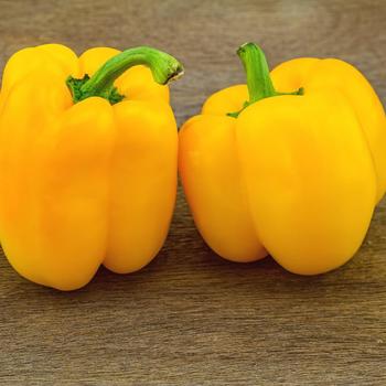 Capsicum annuum - 'Golden California Wonder' Bell Pepper