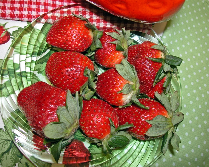 Albion - Strawberry - Everbearing from Bloomfield Garden Center