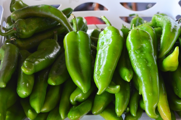 Aji Rico - Pepper - HOT from Bloomfield Garden Center